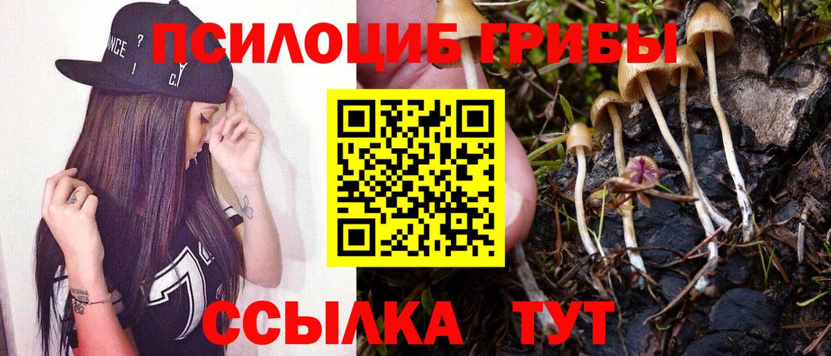 Псилоцибиновые грибы Psilocybe Кулебаки